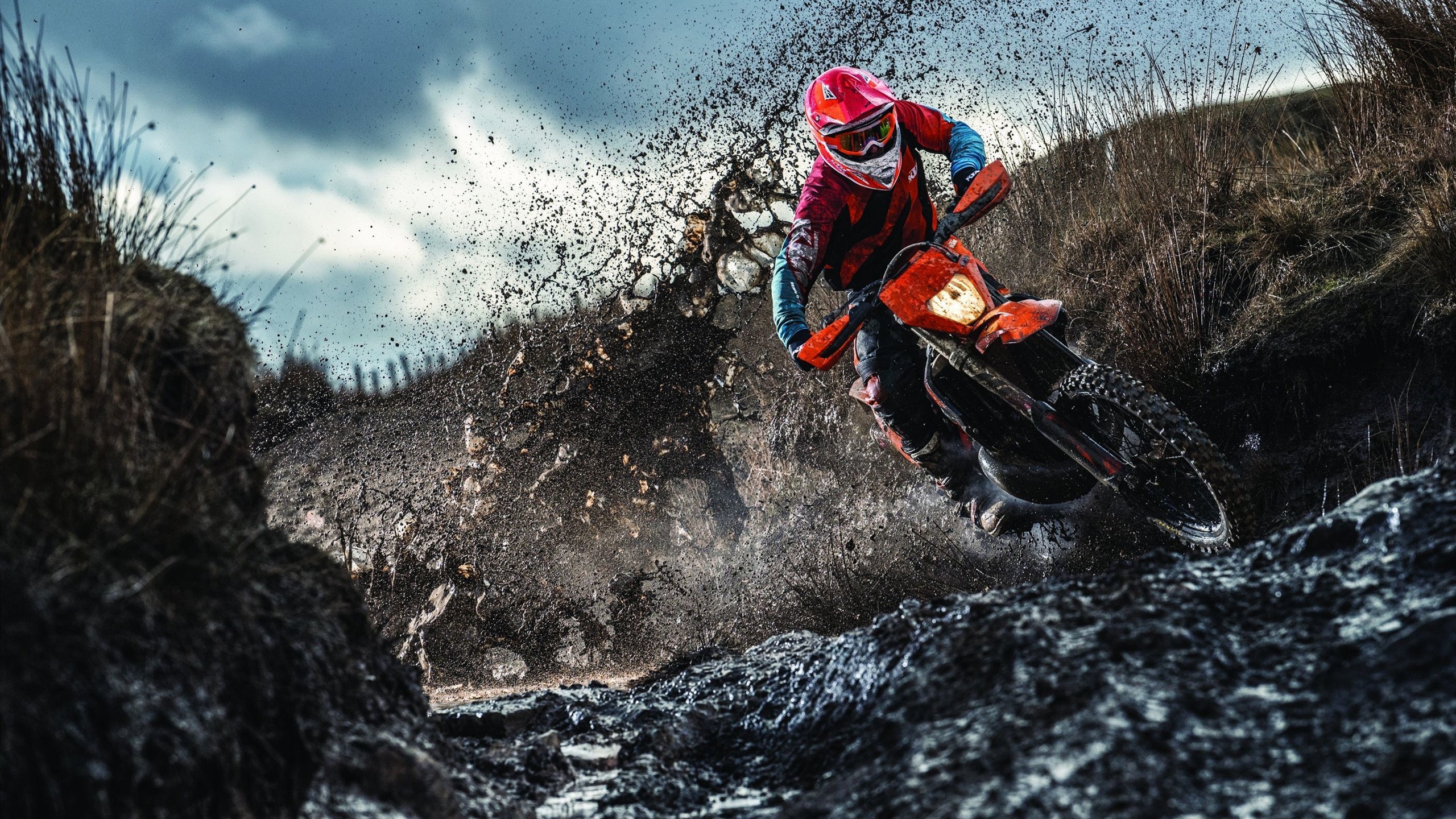 开云体育在线入口-WRC冠军争夺战：车队拼搏只为夺冠，wrc2019冠军车队